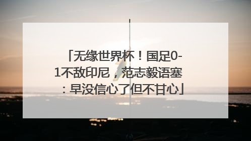无缘世界杯！国足0-1不敌印尼，范志毅语塞：早没信心了但不甘心