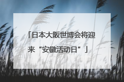 日本大阪世博会将迎来“安徽活动日”