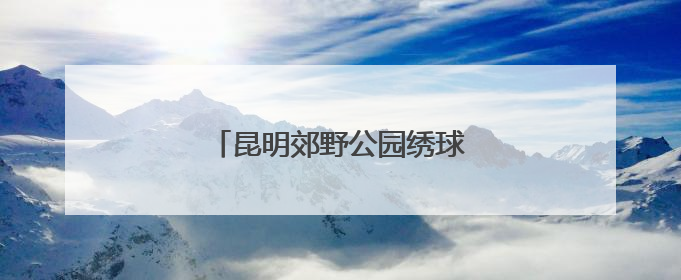 昆明郊野公园绣球绽放演绎多彩夏韵