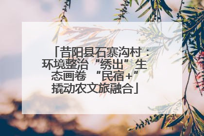 昔阳县石寨沟村：环境整治“绣出”生态画卷 “民宿+”撬动农文旅融合