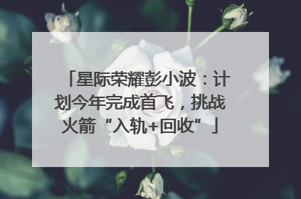 星际荣耀彭小波：计划今年完成首飞，挑战火箭“入轨+回收”