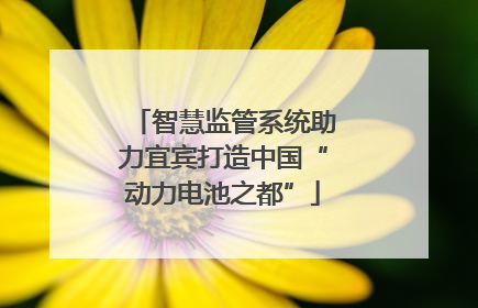 智慧监管系统助力宜宾打造中国“动力电池之都”