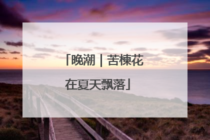 晚潮｜苦楝花在夏天飘落