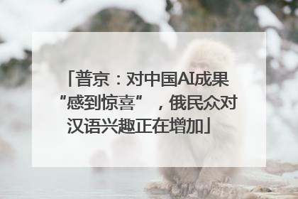 普京：对中国AI成果“感到惊喜”，俄民众对汉语兴趣正在增加
