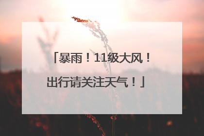 暴雨！11级大风！出行请关注天气！