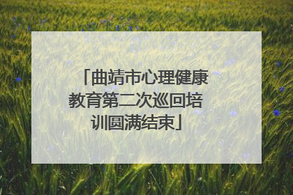 曲靖市心理健康教育第二次巡回培训圆满结束