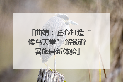 曲靖：匠心打造“候鸟天堂” 解锁避暑旅居新体验