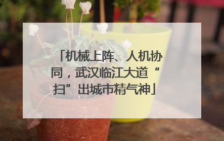 机械上阵、人机协同，武汉临江大道“扫”出城市精气神