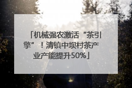 机械强农激活“茶引擎”！清镇中坝村茶产业产能提升50%