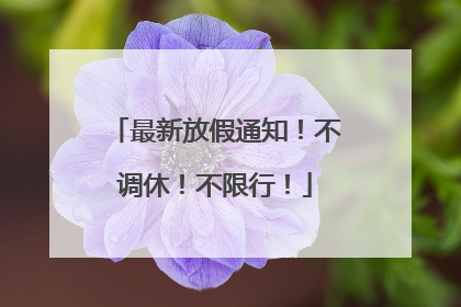 最新放假通知！不调休！不限行！