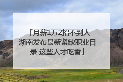 月薪1万2招不到人 湖南发布最新紧缺职业目录 这些人才吃香