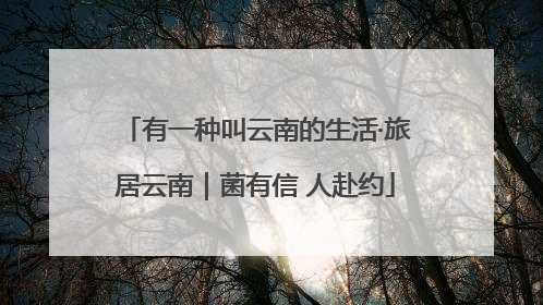 有一种叫云南的生活·旅居云南｜菌有信 人赴约