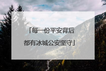 每一份平安背后 都有冰城公安坚守