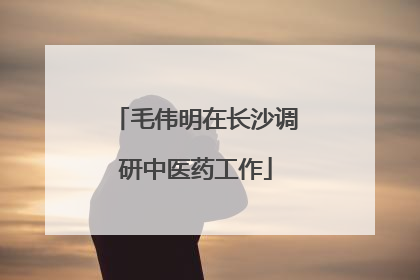 毛伟明在长沙调研中医药工作
