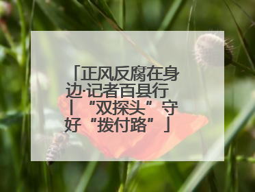 正风反腐在身边·记者百县行丨“双探头”守好“拨付路”