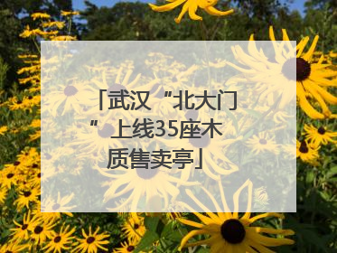 武汉“北大门”上线35座木质售卖亭