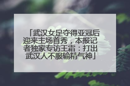 武汉女足夺得亚冠后迎来主场首秀，本报记者独家专访王霜：打出武汉人不服输精气神