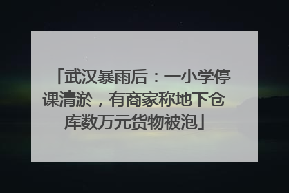 武汉暴雨后：一小学停课清淤，有商家称地下仓库数万元货物被泡