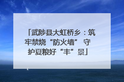 武陟县大虹桥乡：筑牢禁烧“防火墙” 守护夏粮好“丰”景