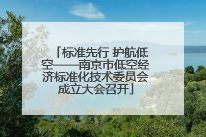 标准先行 护航低空——南京市低空经济标准化技术委员会成立大会召开