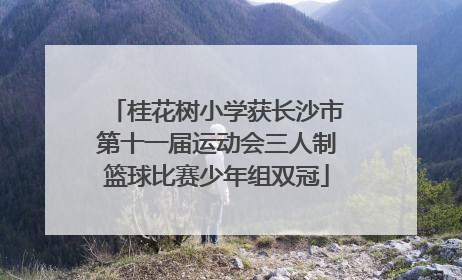桂花树小学获长沙市第十一届运动会三人制篮球比赛少年组双冠