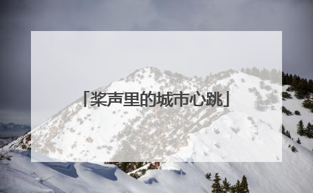 桨声里的城市心跳
