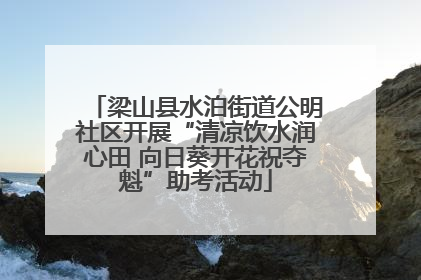 梁山县水泊街道公明社区开展“清凉饮水润心田 向日葵开花祝夺魁”助考活动