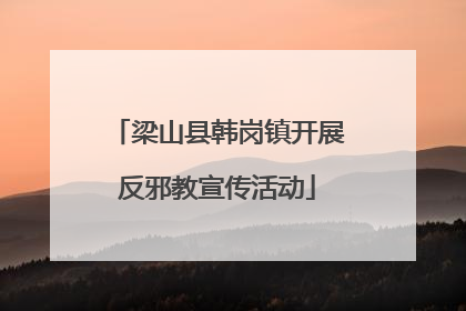梁山县韩岗镇开展反邪教宣传活动
