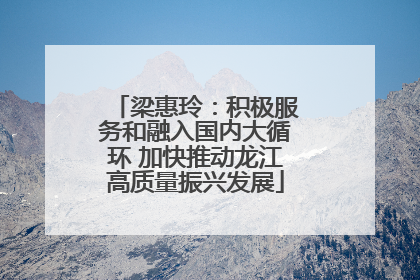 梁惠玲：积极服务和融入国内大循环 加快推动龙江高质量振兴发展