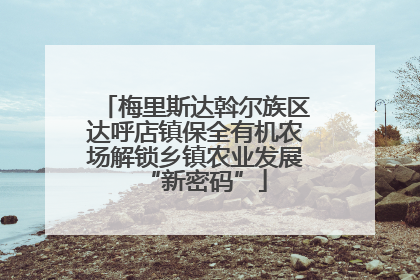 梅里斯达斡尔族区达呼店镇保全有机农场解锁乡镇农业发展“新密码”
