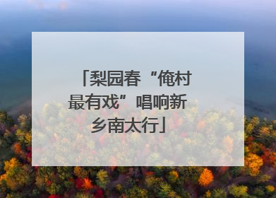 梨园春“俺村最有戏”唱响新乡南太行