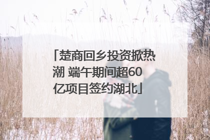 楚商回乡投资掀热潮 端午期间超60亿项目签约湖北