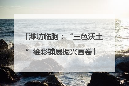潍坊临朐：“三色沃土”绘彩铺展振兴画卷
