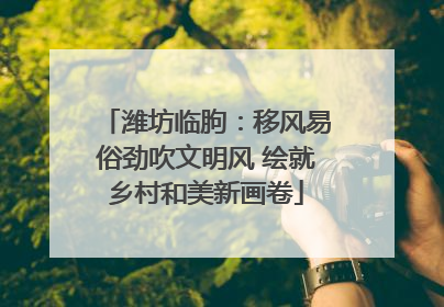 潍坊临朐：移风易俗劲吹文明风 绘就乡村和美新画卷