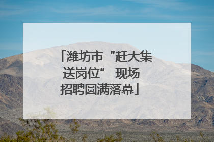 潍坊市“赶大集 送岗位” 现场招聘圆满落幕