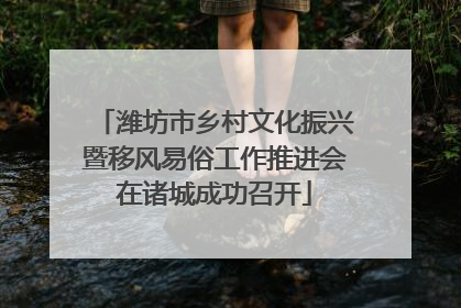 潍坊市乡村文化振兴暨移风易俗工作推进会在诸城成功召开