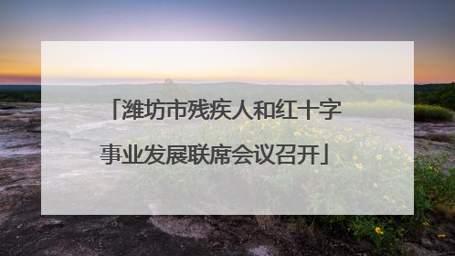 潍坊市残疾人和红十字事业发展联席会议召开