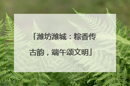 潍坊潍城：粽香传古韵，端午颂文明