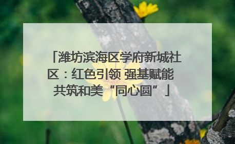 潍坊滨海区学府新城社区：红色引领 强基赋能 共筑和美“同心圆”