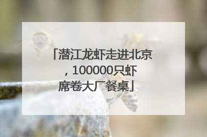 潜江龙虾走进北京，100000只虾席卷大厂餐桌