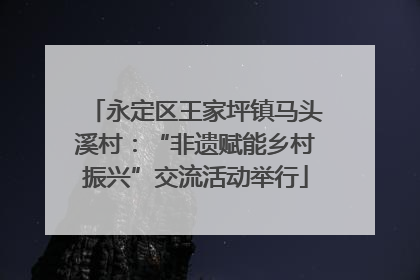 永定区王家坪镇马头溪村：“非遗赋能乡村振兴”交流活动举行