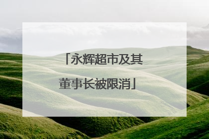 永辉超市及其董事长被限消