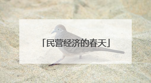 民营经济的春天