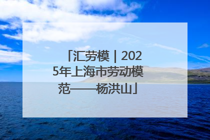 汇劳模｜2025年上海市劳动模范——杨洪山
