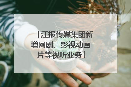 江报传媒集团新增网剧、影视动画片等视听业务