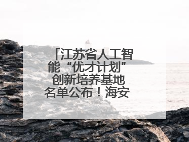 江苏省人工智能“优才计划” 创新培养基地名单公布！海安高级中学入选