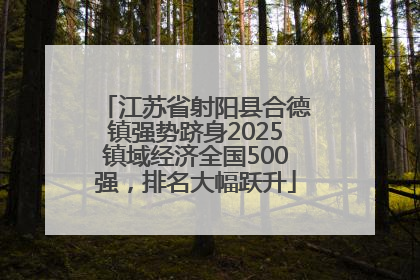 江苏省射阳县合德镇强势跻身2025镇域经济全国500强，排名大幅跃升