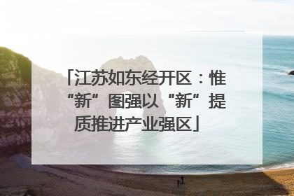 江苏如东经开区：惟“新”图强以“新”提质推进产业强区