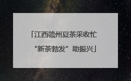 江西赣州夏茶采收忙 “新茶勃发”助振兴