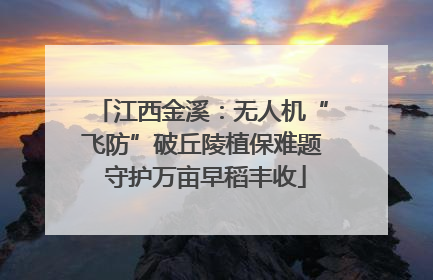 江西金溪：无人机“飞防”破丘陵植保难题 守护万亩早稻丰收
